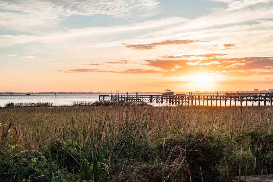 Ferry Economic Impact Survey and Ocracoke Toll Delay: What Property Owners Should Know — Carolina coast real estate