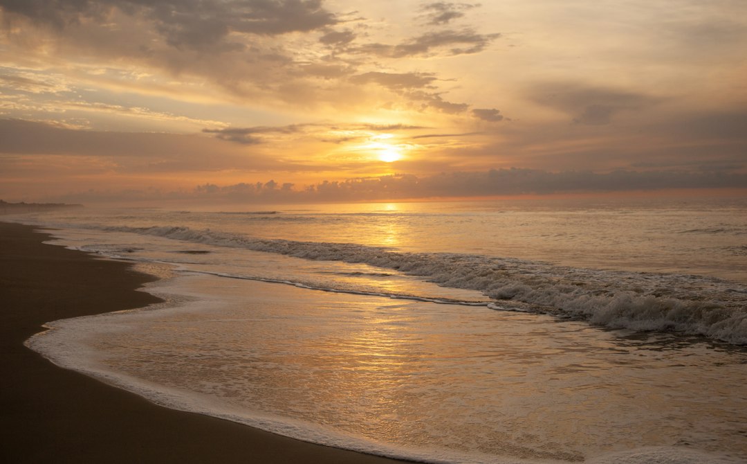 Carolina Beach's Coastal Resilience Survey: What Property Owners Need to Know About Local Risk Planning — Carolina coast real estate