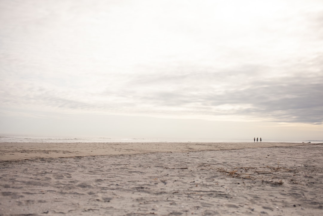 County will clear roadsides to increase beach access parking — Carolina coast real estate