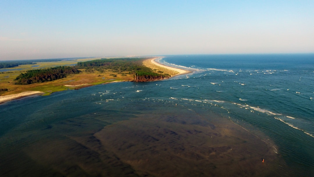Environmental lawyers say county underestimated impact on oysters — Carolina coast real estate