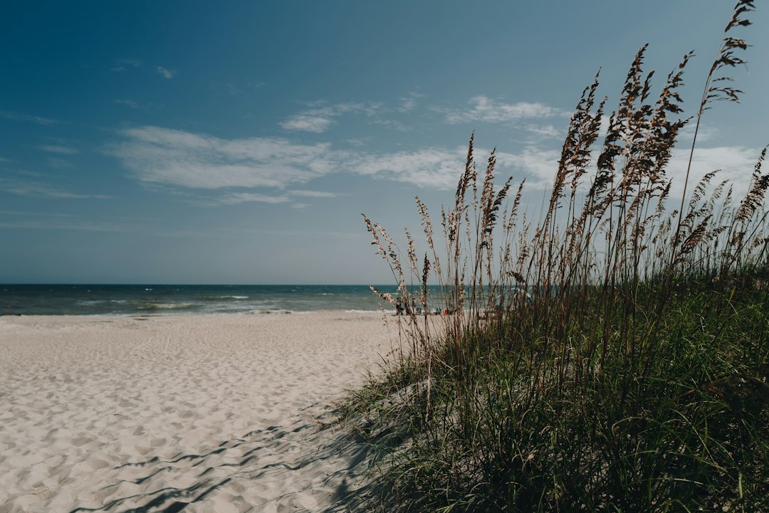 EPA repeals PFAS water-pollution guidance, raising concerns for Cape Fear protections — Carolina coast real estate