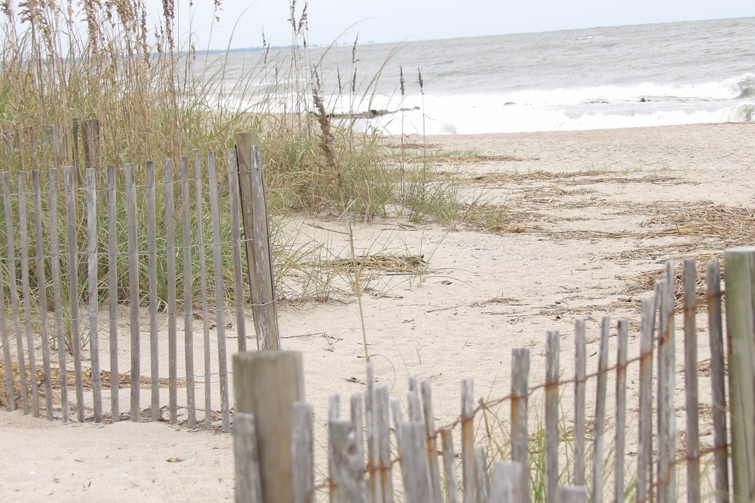 Ferry tolls are coming: What to know before the September listening sessions — Carolina coast real estate