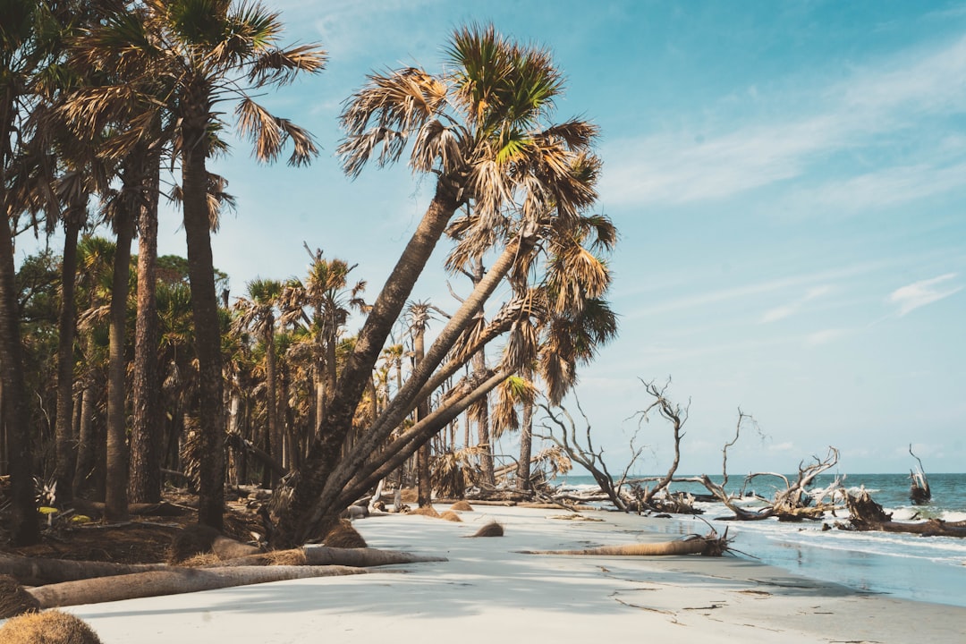 Hilton Bluffs' plans updated with one access point, developer seeking exception to fire code — Carolina coast real estate