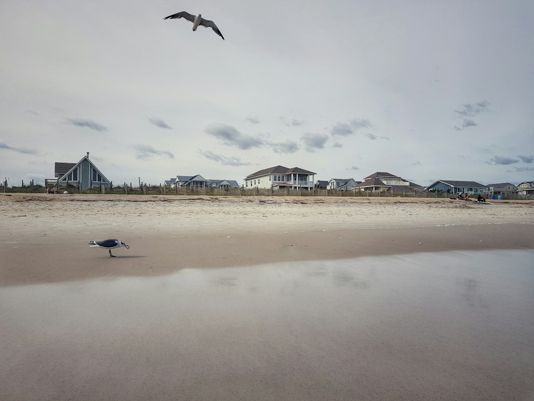The Proximity and Short-Term Rental Approval: Understanding Wilmington's Evolving Rental Regulations and HOA Restrictions — Carolina coast real estate
