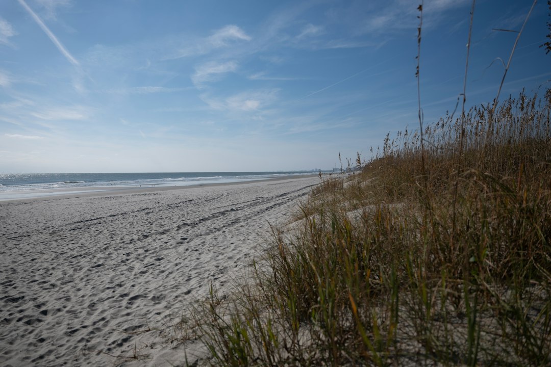 Town and property owners ask S.C. Supreme Court to review easement appeal — Carolina coast real estate