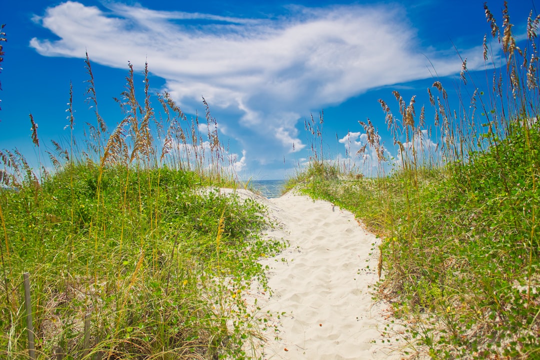 Kitty Hawk, NC
